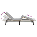 vidaXL bézs polyrattan napozóágy párnával