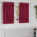 vidaXL Bársonyfüggönyök függönyökkel 2 pcs Bordó 140 x 140 cm Bársony