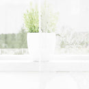 vidaXL Csipkés Függöny függönyökkel Fehér 180 x 300 cm Poliészter