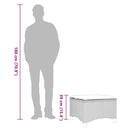 vidaXL 2 db barna polirattan kerti székek párnákkal 55x55x36 cm