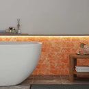 vidaXL Só Kövek 10 pcs Rózsaszín 20 x 2,5 x 10 cm Só Kő