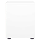 vidaXL VISNES fehér szerelt fa éjjeliszekrény 45x40x50 cm