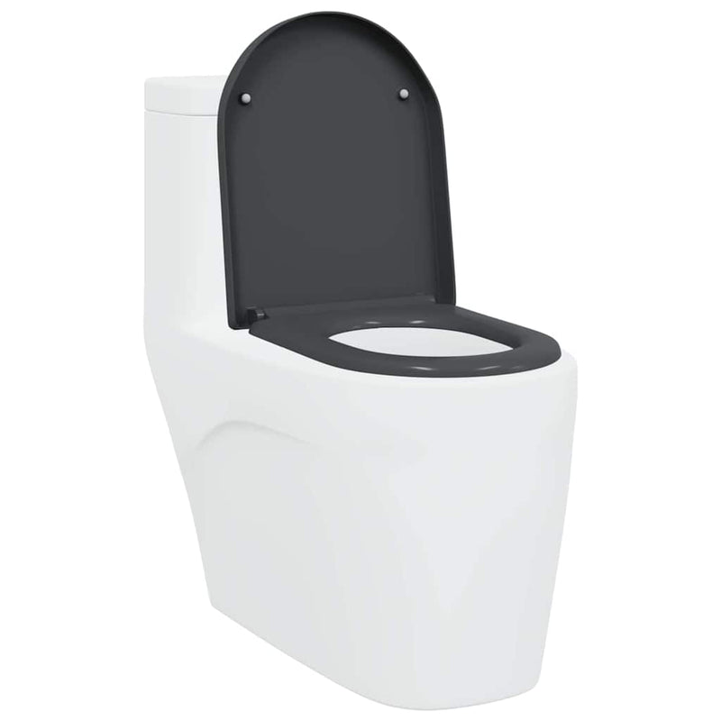vidaXL Gyorsan Levehető WC Ülőke Antracit 46.2 x 36 x 4.3 cm Duroplast