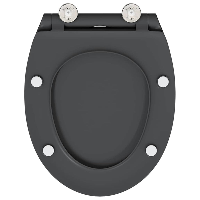 vidaXL Gyorsan Leszedhető WC, ami Ülőkéhez illik Antracit