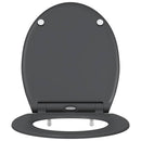 vidaXL Gyorsan Leszedhető WC, ami Ülőkéhez illik Antracit