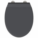 vidaXL Gyorsan Leszedhető WC, ami Ülőkéhez illik Antracit