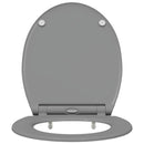vidaXL WC ülőke Szürke 45,5 x 37,5 x 3,8 cm Duroplast