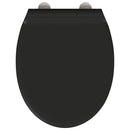 vidaXL Gyorsan Leszedhető WC, ami Ülőkéhez illik Fekete