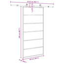 vidaXL tolóajtó vasalatokkal 102x205 cm ESG üveg&alumínium