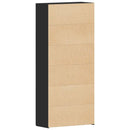 vidaXL Cipőszekrény polcokkal Fekete 80 x 35.5 x 180 cm Faanyag