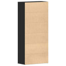 vidaXL Cipőszekrény polcokkal ajtóval Fekete 80 x 39 x 178 cm Faanyag