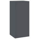 vidaXL Növényállvány 2 pcs Antracit 24 x 24 x 55 cm Acél