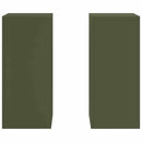 vidaXL Növényállvány 2 pcs Oliva zöld 24 x 24 x 55 cm Acél