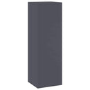 vidaXL Növényállvány 2 pcs Antracit 24 x 24 x 75 cm Acél