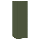 vidaXL Növényállvány 2 pcs Oliva zöld 24 x 24 x 75 cm Acél