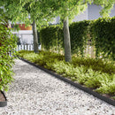 vidaXL Fűszegélyezés 20 pcs Fekete 100 x 0,05 x 15 cm