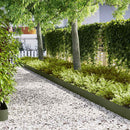 vidaXL Fűszegélyezés 10 pcs Olajzöld 100 x 0.05 x 20 cm