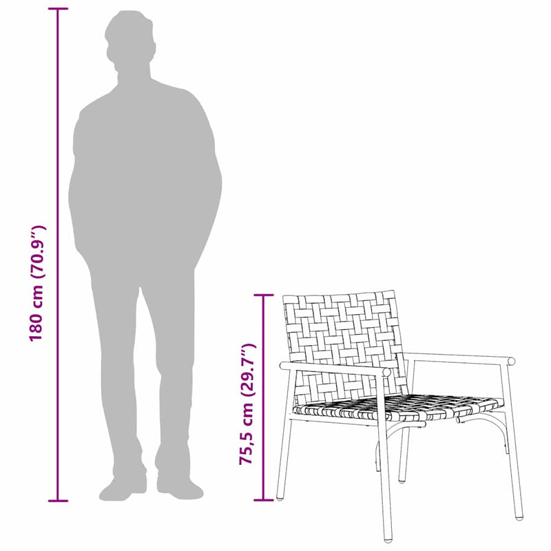 vidaXL Kerti Szék 2 pcs Fekete 79 x 56 x 73.5cm polirattan