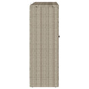 vidaXL Tárolószekrény polcokkal Világosszürke 100 x 36 x 102 cm Rattan
