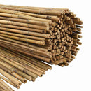 vidaXL Bambusz kerítés 300 x 125 cm Bambusz Természetes
