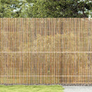 vidaXL Bambusz kerítés Természetes 500 x 150 cm bambusz