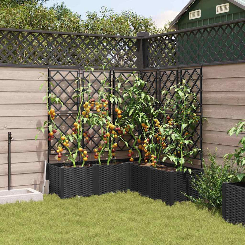 vidaXL Kertész cserép rácsos változattal 5 pcs Fekete