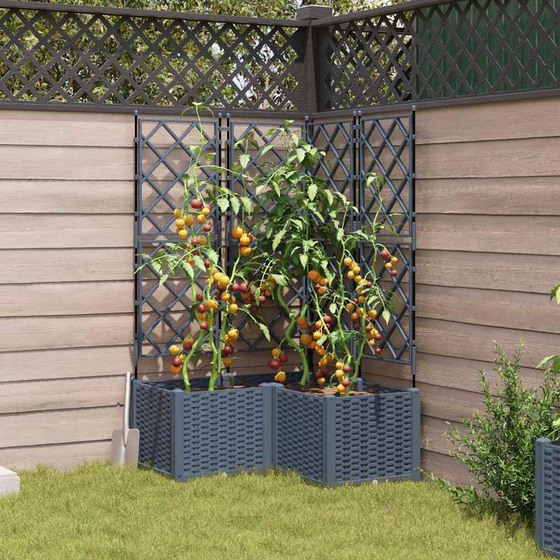 vidaXL Kertész cserép rácsos változattal 3 pcs Világosszürke