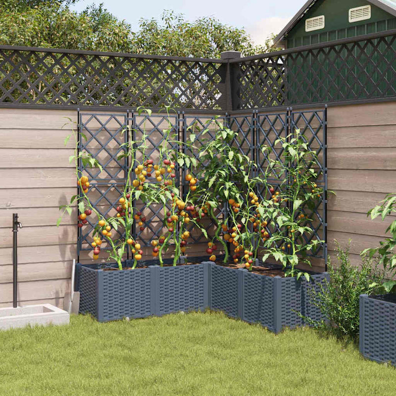 vidaXL Kertész cserép rácsos változattal 5 pcs Világosszürke