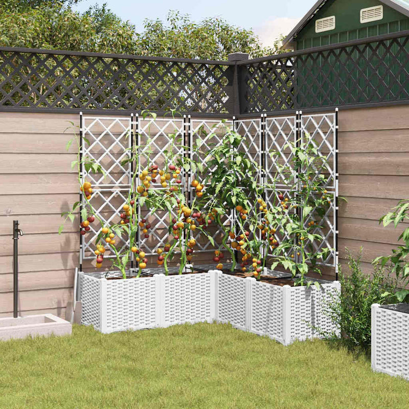 vidaXL Kertész cserép rácsos változattal 5 pcs Fehér