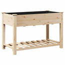 vidaXL Kerti cserép polcokkal Bézs 115 x 59 x 76.5 cm Tömör fenyőfa