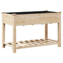 vidaXL Kerti cserép polcokkal Bézs 115 x 59 x 76,5 cm Szilárd fenyőfa