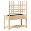 vidaXL Kerti cserép polcokkal Bézs 115 x 60.5 x 153 cm Tömör fenyőfa