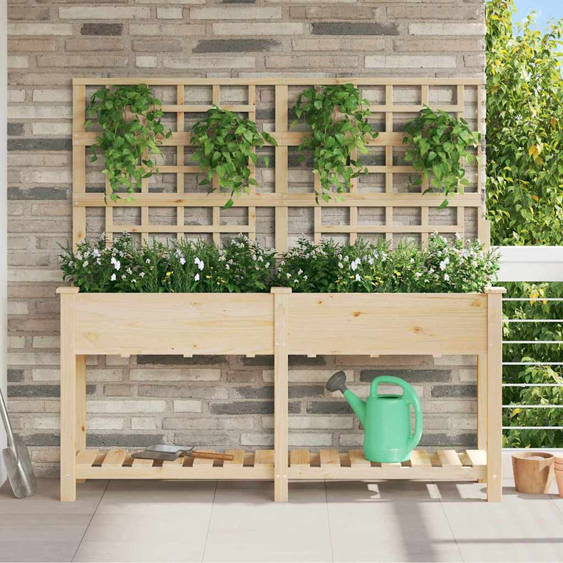 vidaXL Kerti cserép polcokkal Bézs 161 x 46 x 152.5 cm Tömör fenyőfa
