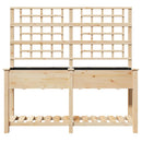 vidaXL Kerti cserép polcokkal Bézs 161 x 46 x 152,5 cm Szilárd fenyőfa