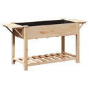 vidaXL Kerti cserép polcokkal Bézs 155 x 59 x 76.5 cm Tömör fenyőfa