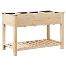 vidaXL Kerti cserép polcokkal Bézs 115 x 59 x 76.5 cm Tömör fenyőfa