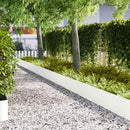 vidaXL Fűszegélyezés 30 pcs Fehér 100 x 0,05 x 30 cm