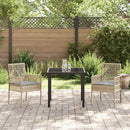 vidaXL Kerti Szék párnával 2 pcs Bézs 55 x 53 x 85 cm polirattan