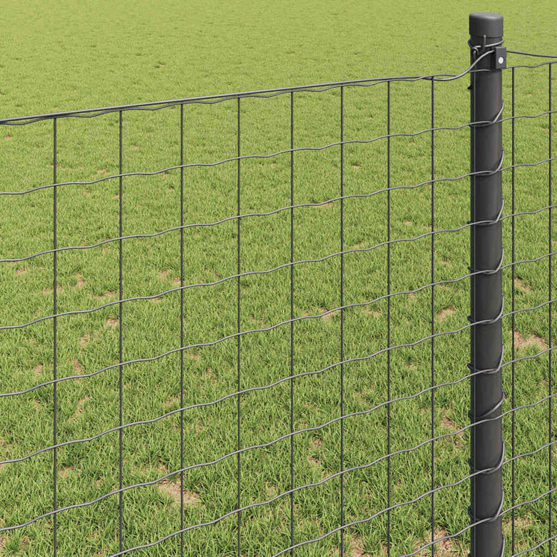 vidaXL Európai Kerítés Szürke 1 x 10 m PVC-bevonatú vas