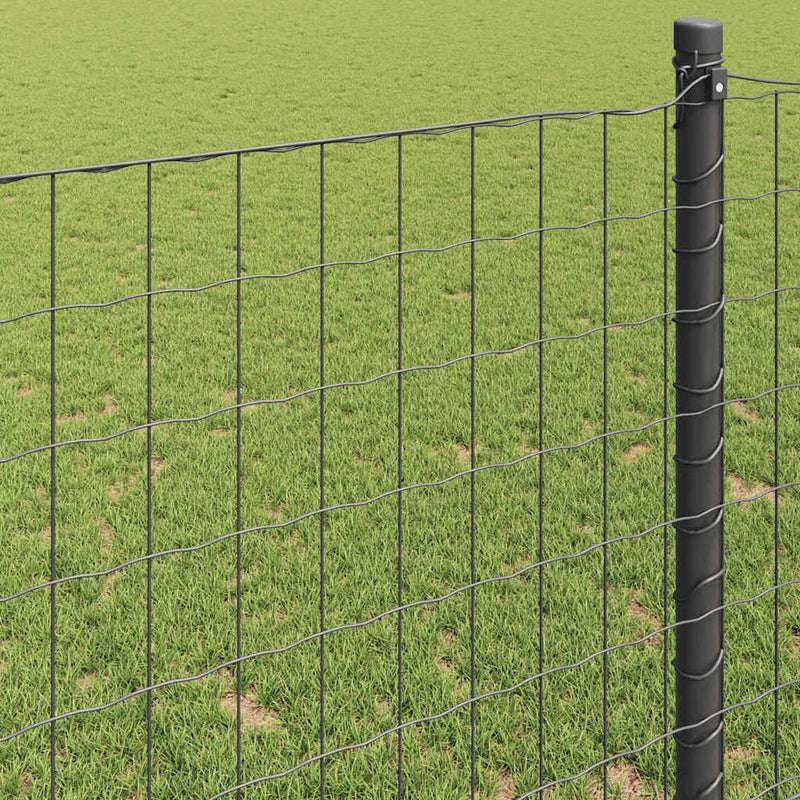 vidaXL Európai Kerítés Szürke 0,6 x 10 m PVC-bevonatú vas