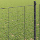 vidaXL Európai Kerítés Szürke 0,4 x 25 m PVC-bevonatú vas