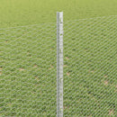 vidaXL Hegesztett Drótháló Kerítés 10 x 0,8 m (Sz x M)