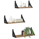 vidaXL Falpolc Falra szerelhető tárolóval 3 pcs Füstös tölgy