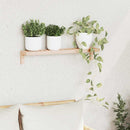 vidaXL Fali akasztós rács Bézs 62 x 10 x 12.5 cm Tömör diófa