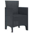 vidaXL Kerti Szék párnával 2 pcs Antracit 53 x 49 x 85 cm Polipropilén