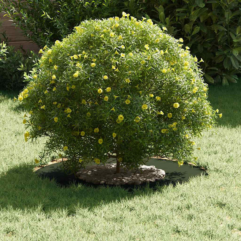 vidaXL Lapos fa körgyűrű Oliva zöld Ø30 / 60 cm Acél