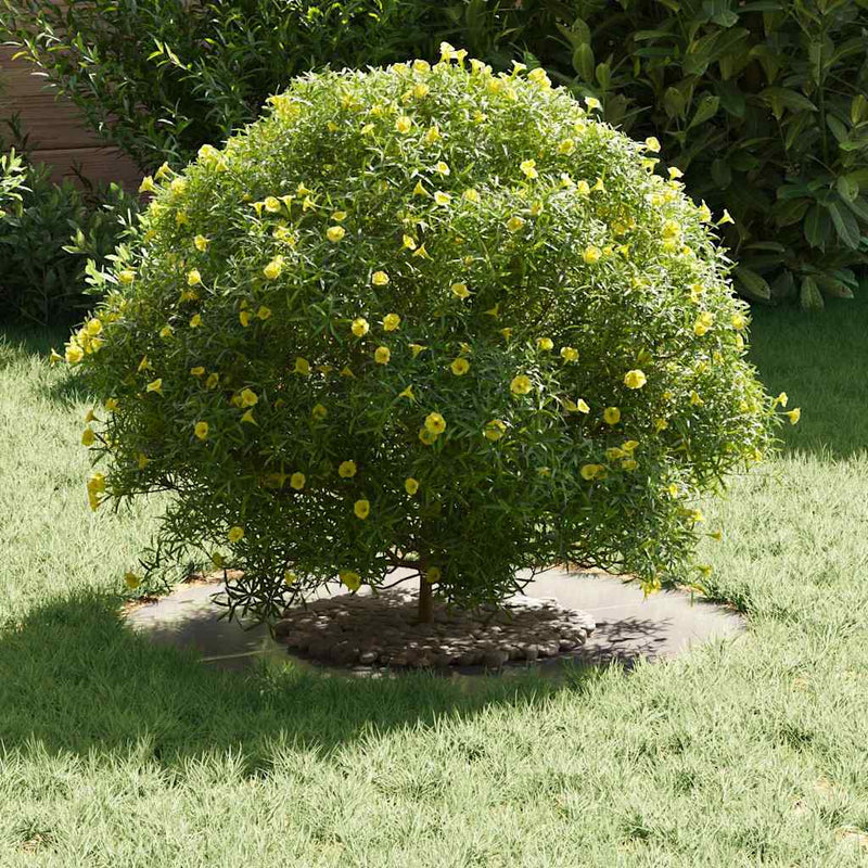 vidaXL Lapos fa körgyűrű Ezüst Ø30 / 60 cm Rozsdamentes acél