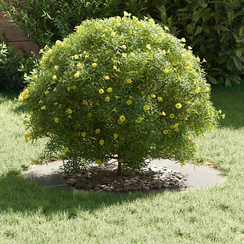 vidaXL Lapos fa körgyűrű Ezüst Ø40 / 70 cm Rozsdamentes acél