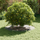 vidaXL Alkalmas lapos fa gyűrűkhez 5 pcs Ezüst Ø60 / 90 cm