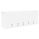 vidaXL Fali Kabáthorog polcokkal ajtóval Fehér 80 x 20 x 30 cm Faanyag